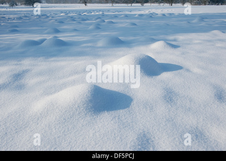 An einem kalten Wintertag nach Schneefall, Ansicht von Sonnenlicht auf schneebedeckten Hügeln oder Hängematten (mole Hügel) in einem Feld - West Yorkshire, England, UK. Stockfoto