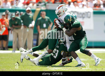 City, Florida, USA. 28. September 2013. OCTAVIO JONES | Zeiten. Miami Hurricanes Wide Receiver Allen Hurns (1) von der South Florida Verteidigung während des zweiten Quartals des Spiels im Raymond James Stadium in Tampa am Samstag, 28. September 2013 in Angriff genommen wird. © Octavio Jones/Tampa Bucht Times/ZUMAPRESS.com/Alamy Live-Nachrichten Stockfoto