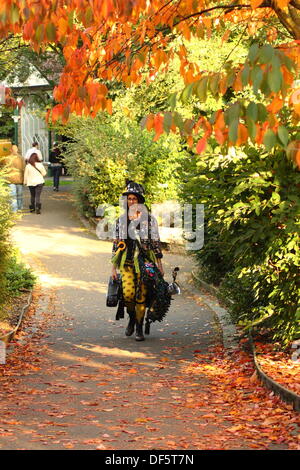 Derbyshire, UK. 28. September 2013.  Mitglied des Official Monster Raving Loony Party und Black Pig Border Morris, Spaziergänge durch eine herbstliche Szene im Derwent Gardens bei Matlock Bath, Derbyshire am zweiten Tag der offiziellen Monster Ravinng Loony Party Jahreskonferenz und Steampunk Illuminata Veranstaltung Ruth Wint. Bildnachweis: Matthew Taylor/Alamy Live-Nachrichten Stockfoto