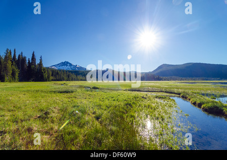 Blick auf eine Wiese und South Sister Mountain erschossen Blick direkt in die Sonne in der Nähe von Bend, Oregon Stockfoto