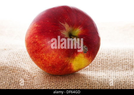 Reifer roter Apfel auf Sackleinen Stockfoto