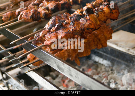 Shish Kebab Shishkebab Shishkebabs Kebab mysteriöses Fleisch grillen über glühenden Kohlen Fleisch Spieße Spieße aufgespießt shish Kebab shish-k Stockfoto