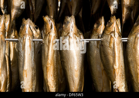 Bückling Kipper geräucherter Fisch rauchigen Geschmack Rauch Rauchen Hering Heringe Arbroath Smokies traditionelles Essen Präsentation Methode m Stockfoto