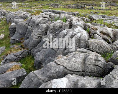 Verwitterte erodiert dolostone/Kalkstein Pflaster Felsformation, Strath Suardal, Isle of Skye, Schottland, Großbritannien. Stockfoto