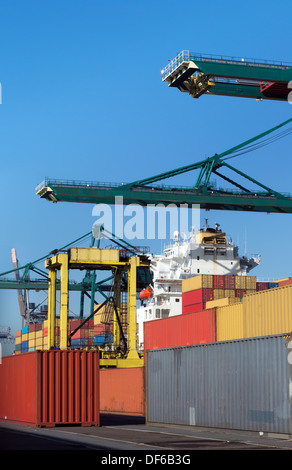 Schwere Krane Verladung von Containern in die Schiffe im Hafen von Antwerpen-Welt Stockfoto