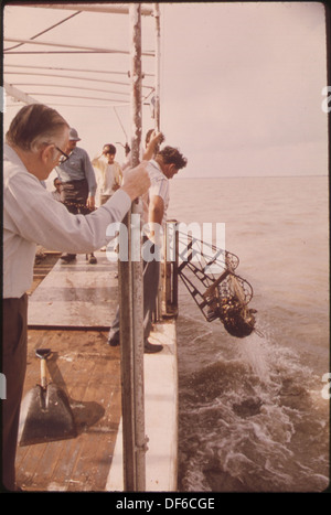 LAKE BORGNE AUSTERNFISCHER BEHAUPTEN, DASS DIE FREISETZUNG VON MISSISSIPPI FLUß FLUTEN IHRE OYSTERBEDS VERSCHMUTZT HAT. EINIGE DER MÄNNER... 552861 Stockfoto