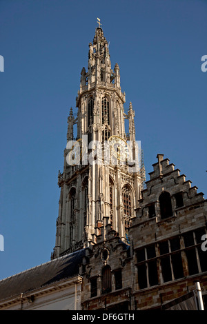 Kirche, Turm von der Onze-Lieve-Vrouwekathedraal (Kathedrale unserer lieben Frau) in Antwerpen, Belgien Stockfoto