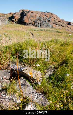 Grönland, Tunulliarfik (aka Eriks Fjord), Übersicht der Qassiarsuk & Brattahlid, Erik der rote östlichen Siedlung. Stockfoto