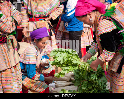 Eine Hmong Frau kauft Gemüse Grüns am Sonntagmorgen Bac Ha Markt in Bac Ha, Lao Cai, Vietnam. Stockfoto