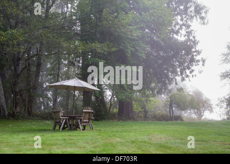 Gartenmöbel an einem nebligen Morgen Stockfoto