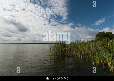 Von den Ufern des Lake Dora in der Stadt Mount Dora, Florida USA Stockfoto