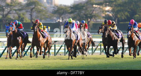 Chiba, Japan. 29. September 2013. (L-R) Hakusan Mond (Manabu Sakai), Herrn Kanaloa (Yasunari Iwata), Mayano Ryujin (Kenichi Ikezoe) Pferderennen: Herr Kanaloa geritten von Yasunari Iwata gewinnt den Sprinter-Einsätzen an Nakayama Racecourse in Chiba, Japan. © Yoshifumi Nakahara/AFLO/Alamy Live-Nachrichten Stockfoto