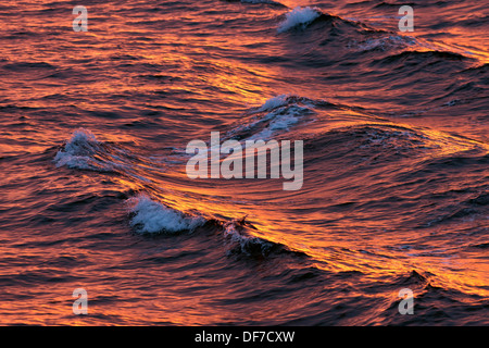 Wellen im Abendlicht, Nordpolarmeer, Spitzbergen Insel, Spitzbergen, Svalbard und Jan Mayen, Norwegen Stockfoto