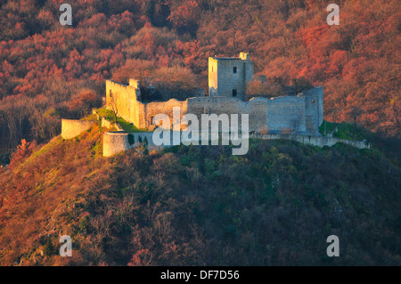 Heimenburg Burgruine, Hainburg an der Donau, Niederösterreich, Österreich Stockfoto