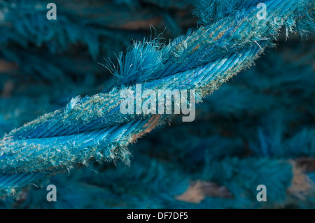 Alten Seil, Hvide Sande, Jütland, Dänemark Stockfoto