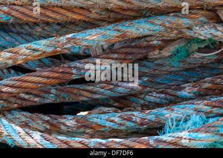 Alten Seil, Hvide Sande, Jütland, Dänemark Stockfoto