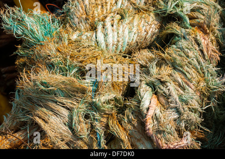 Alten Seil, Hvide Sande, Jütland, Dänemark Stockfoto