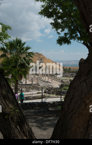 Das Cardo, Bet Shean Israel Stockfoto