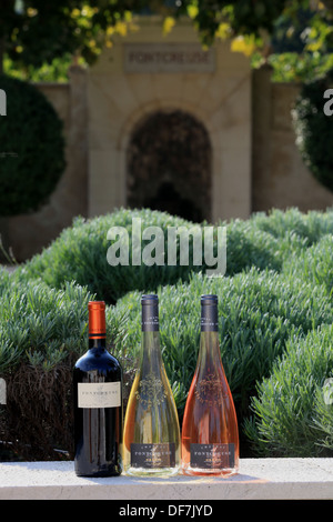 Weinberge-Ernte in Cassis, AOC Wein Chateau de Fontcreuse. Stockfoto