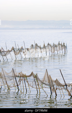 Blick auf einige Fischernetze auf stehendes Wasser in La Albufera, Valencia, Spanien Stockfoto