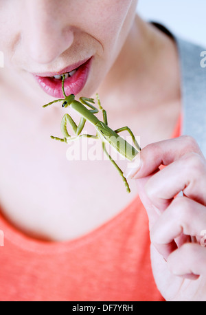 FRAU ESSEN INSEKTEN Stockfoto