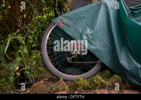 Links in einem verwilderten Rücken Garten, Mountainbike teilweise-durch eine dünne Plane im Unterholz. Stockfoto