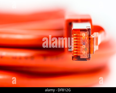 Orange-Netzwerkkabel mit RJ45-Stecker Stockfoto