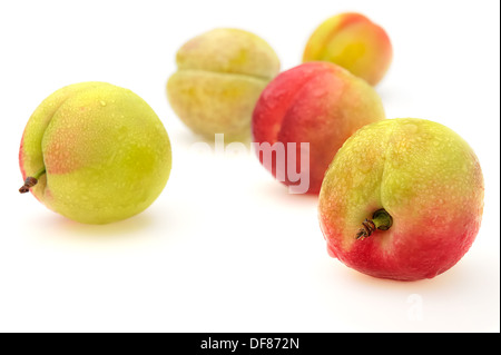 Nektarine Stockfoto