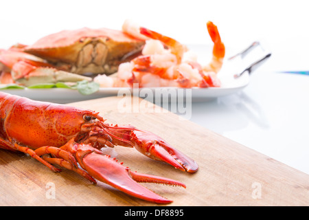 Vorbereitung von Dungeness Krabbe, roten Hummer und Garnelen in der Küche auf dem Schneidebrett Stockfoto