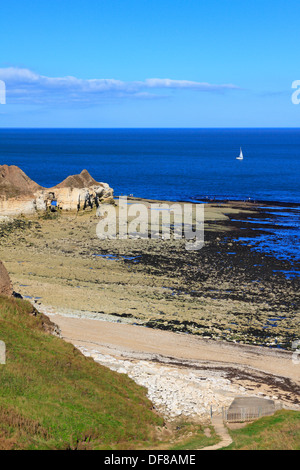 Thornwick Bay, Flamborough Head East Yorkshire, England, UK. Stockfoto