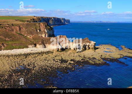 Thornwick Bay und fernen Bempton Cliffs, Flamborough Head East Yorkshire, England, UK. Stockfoto