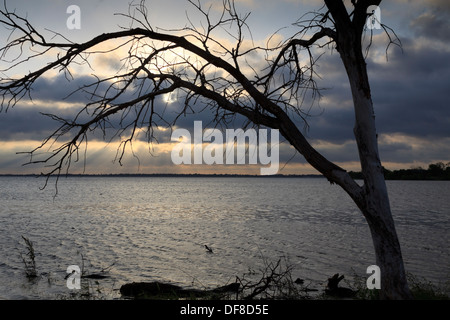 Sunrise, umrahmt von einem einsamen Baum auf Lake Hefner in Oklahoma City Stockfoto