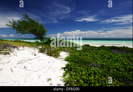 Verlassener Strand in Cayo Paredon Grande - Inselgruppe Jardines del Rey, Kuba Stockfoto