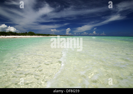 Verlassener Strand in Cayo Paredon Grande - Inselgruppe Jardines del Rey, Kuba Stockfoto