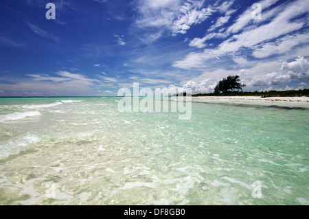 Verlassener Strand in Cayo Paredon Grande - Inselgruppe Jardines del Rey, Kuba Stockfoto