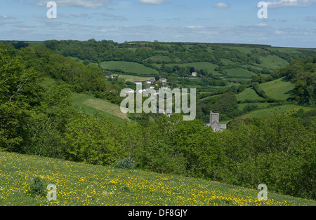 Mit Blick auf Branscombe Dorf an einem frühen Sommertag in Devon mit Bäumen im neuen Blatt Butterblumen in Blüte Stockfoto