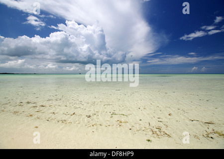 Verlassener Strand in Cayo Coco, Kuba Stockfoto