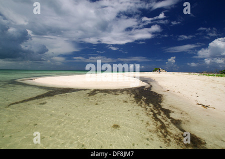 Verlassener Strand in Cayo Coco, Kuba Stockfoto