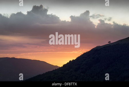 A lone tree stands out in silhouette as the sun sets behind Latrigg in the English Lake District, UK. Stockfoto