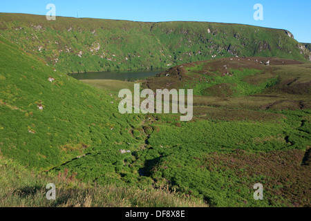 Die Wicklow Mountains in Irland Stockfoto