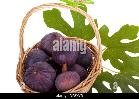 Frische Feigen mit Busket verlässt isolierten auf weißen Hintergrund Stockfoto