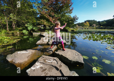 Cambridge University Botanic Garden im frühen Herbst und HER Mädchen geht über SKIPPING STONES durch A Teich. Stockfoto