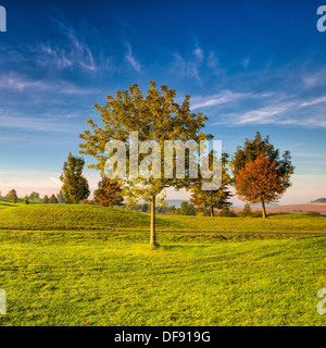 Herbstlandschaft bei Sonnenuntergang Stockfoto