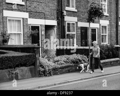 Frau, die ihrem Hund einen Spaziergang in Belper, Derbyshire, Großbritannien. Stockfoto