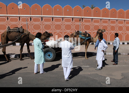 Männer und ihre Kamele in Jaipur, Rajasthan, Indien, Asien. Stockfoto