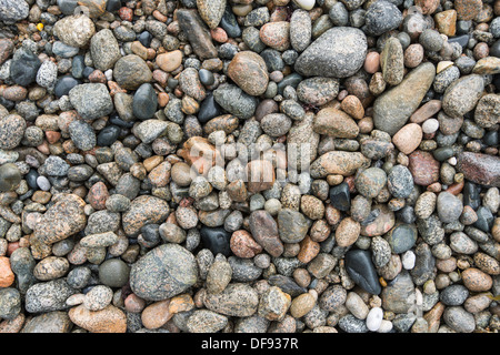 Nahaufnahme des Kiesstrandes. Stockfoto