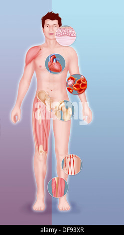 ZELLTHERAPIE, ILLUSTRATION Stockfoto