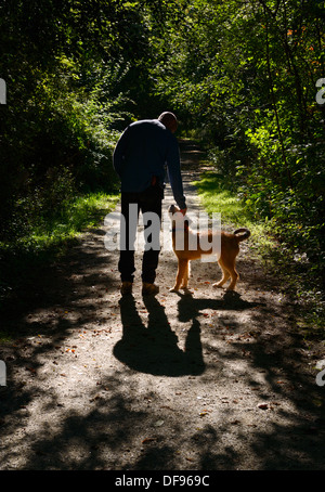 Mann, Streichelzoo, die seinen Hund auf einem Weg Leine in einem grünen Wald-Park von Toronto zu Fuß Stockfoto