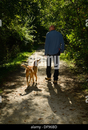 Der Mensch mit seinem Hund bei einem Spaziergang auf einem Weg in einer grünen forest park von Toronto Stockfoto
