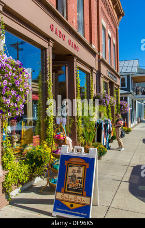 Straße im Zentrum von Ellicottville in Western New York State Stockfoto